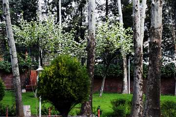 بهار در قاب دانشگاه علوم بهزیستی و توانبخشی